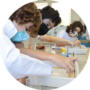 Escola Viva Uma Escola Que Nasce Da Arte E De Um Sonho Escola Viva Uma Escola Que Nasce Da Arte E De Um Sonho